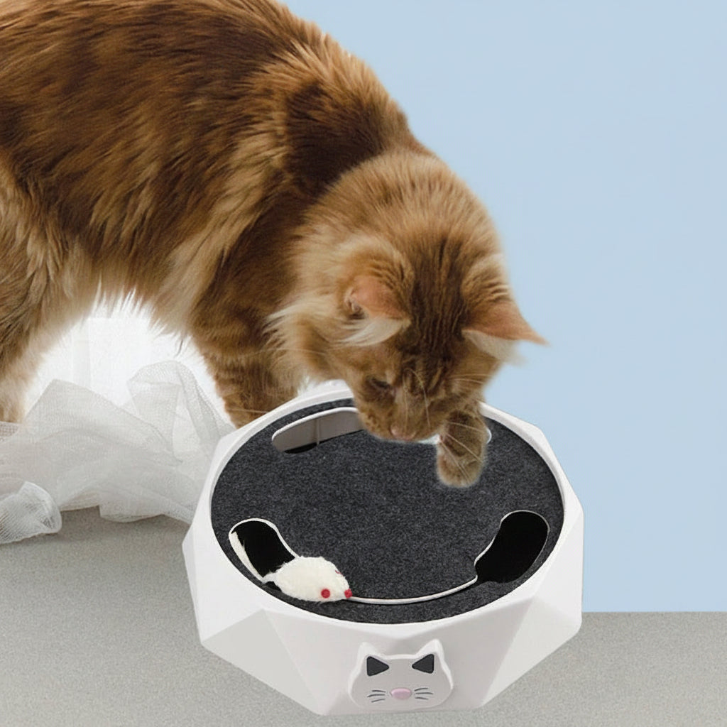 Cat interacting with a toy that simulates mice movement on a flat surface.