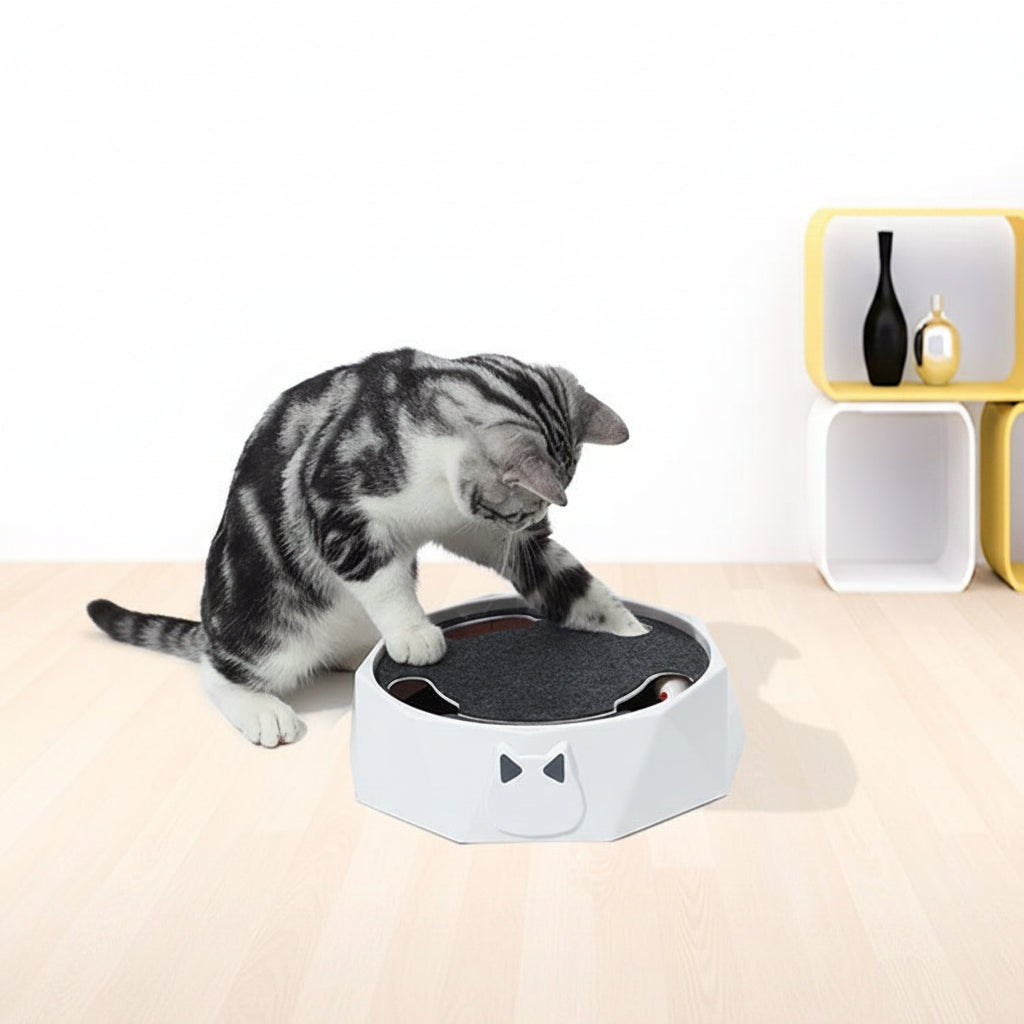 Cat playing with a Diglett Electric Cat Toy on a white background