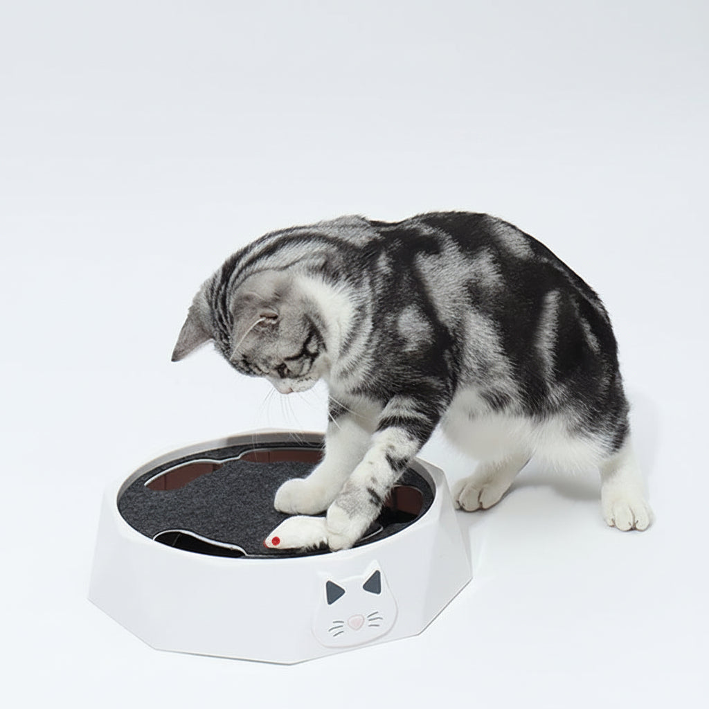 Cat playing with a white toy shaped like a cat on a light gray background